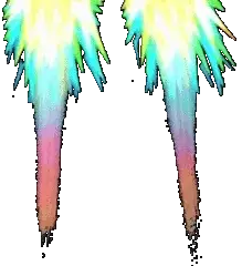 Rainboom