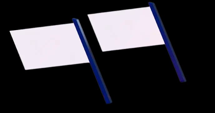 Dual Flags