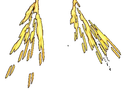 Spark
